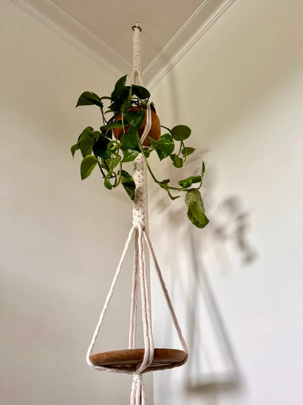 Elegant knot DUO - hout