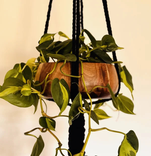 Elegant knot DUO - hout